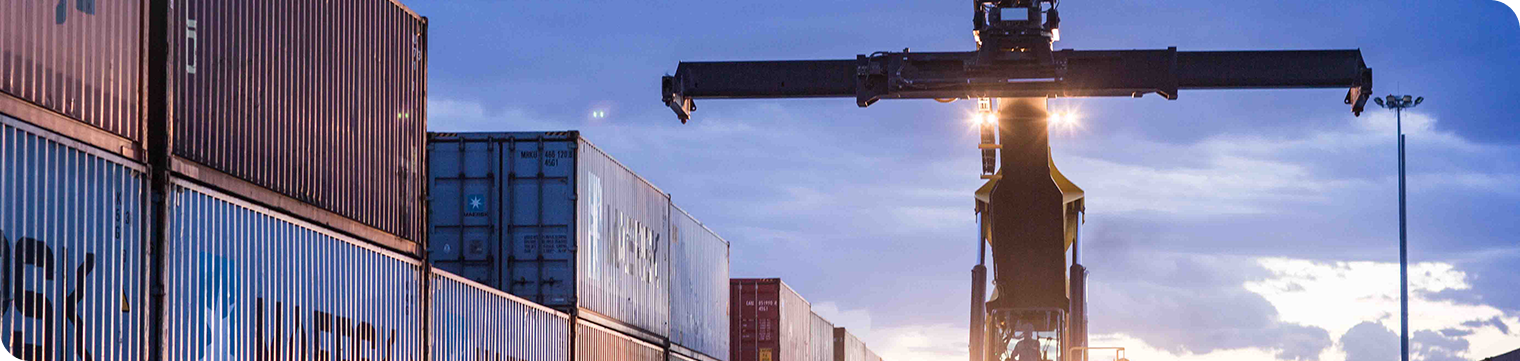 프로토콜 로드맵